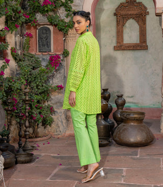 Parrot Green Chikankari co-ord set